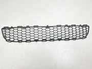 Kühlergrill unten Toyota Verso (R2) 531120F10