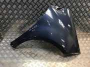 Kotflügel vorne rechts MERCEDES-BENZ A (W169) A 180 CDI (169.007, 169.307)