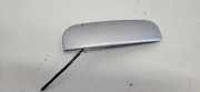 Türgriff hinten Citroen C5 III Break (RW)
