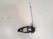 Türgriffinnenrahmen vorne links BMW X7 (G07) xDrive 40 i 7430928 7401205