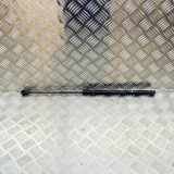 Heckklappe Gasdruckfeder links AUDI A3 (8V1, 8VK) S3 quattro 8V382755206S 8V3827552