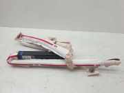 Airbag Dach rechts Tesla Model S (5YJS) 100526200