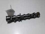 Auspuffkrümmer Audi A4 (8D, B5) 06E109101AL