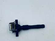 Zündspule BMW X5 (E53) 3.0 i 1748017