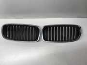 Vorderer oberer Gitter BMW 3 Touring (F31) 320 d 7263482