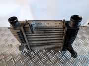 Ladeluftkühler Nissan Juke (F15) 14461EM00A