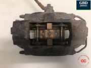 Bremsscheibe links hinten Tesla Model S (5YJS) 100788800B