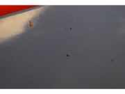Motorhaube Opel Movano B Bus (X62) OPEL
