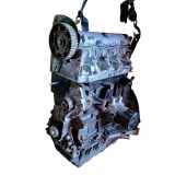 Motor ohne Anbauteile (Diesel) Renault Megane III Coupe (DZ) F9Q872156NR