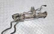 Auspuffanlage hinten Nissan Navara (D40)