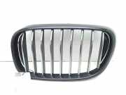Vorderer oberer Gitter BMW 7 (G11, G12) 730 d 7357011