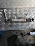 AGR-Kühler MERCEDES-BENZ B (W245) B 180 CDI (245.207) A6401400975