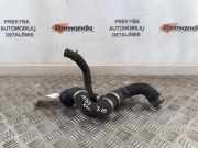 Schlauch Kühlung MERCEDES-BENZ S (W222, V222, X222) S 350 BlueTEC / d (222.132, 222.032, 222.123) A2225014891