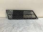 Kühlergrill unten BMW 5er (E60) 7178098