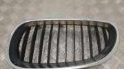 Gitter Grill vorne links