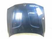 Motorhaube BMW X3 (F25) 2.0 d