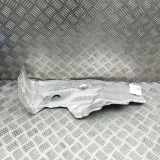 Hitzeschutz BMW X5 (G05) xDrive 30 d Mild-Hybrid 7424921