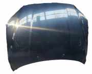 Motorhaube VOLVO V70 III (BW) D3 / D4 31301348