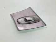 Blinker am Türspiegel vorn rechts