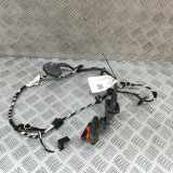 Türverkabelung hinten links VW AMAROK (2H_, S1B) 3.0 TDI 4motion 2H7971693Q