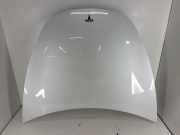 Motorhaube TESLA MODEL 3 EV 1081390E0C