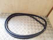 Türgummi links vorne VW Touareg I (7L) 7L0867365E