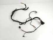 Kabelbaum MERCEDES-BENZ C (W205) C 220 BlueTEC / d (205.004)