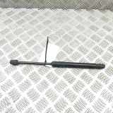 Gasfeder für Motorhaube Audi A6 (4G, C7) 4G8823359A