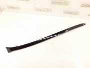 Zierleiste Windschutzscheibe Frontscheibe MERCEDES-BENZ C (W204) C 200 CDI (204.001) 2046907362