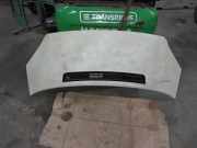 Motorhaube FORD TRANSIT Furgon 2.2 TDCi