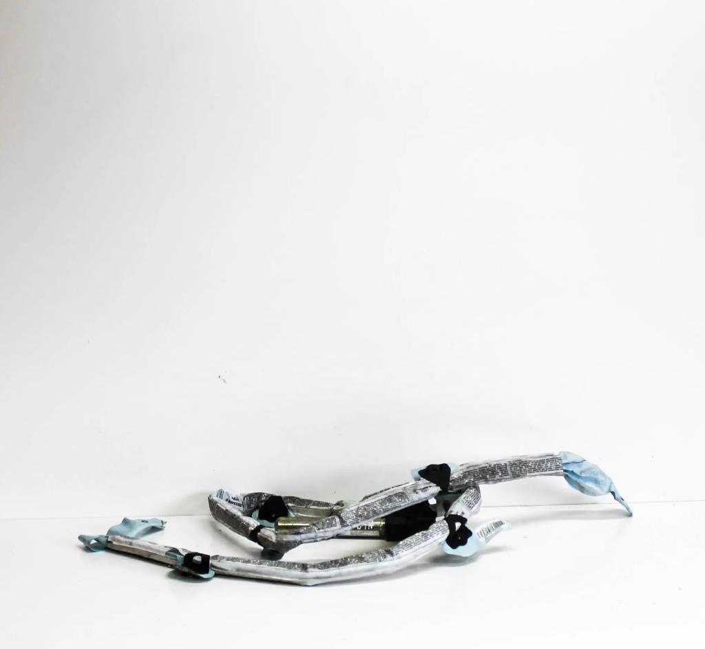 Dach SRS rechts AUDI A6 Avant (4F5, C6) 3.0 TDI quattro 4F9880742A Bild Dach SRS rechts AUDI A6 Avant (4F5, C6) 3.0 TDI quattro 4F9880742A