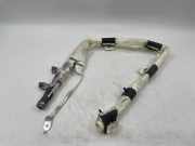 Dach SRS rechts TESLA MODEL X P100D AWD 0080.P1.11.0030