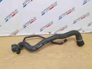 Schalterleiste BMW X3 (F25) 17128571616