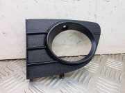 Nebelscheinwerferverkleidung FIAT PUNTO EVO (199_) 1.4 Natural Power