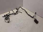 Kabelbaum OPEL INSIGNIA A (G09) 2.0 CDTI (68) 13288349