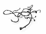 Kabelbaum Kia Sorento II (XM) 918102P121