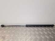 Heckklappendämpfer links VW New Beetle (9C) 1C0827550A