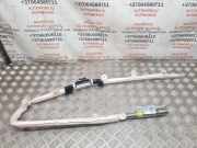 Dach SRS rechts SEAT EXEO (3R2) 2.0 TDI 3R9880742