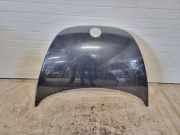 Motorhaube VW New Beetle (9C)