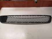 Kühlergrill unten BMW X5 (E70) 51117222849
