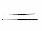 Heckklappe Gasdruckfeder links NISSAN JUKE (F15) 1.5 dCi 3162240265N