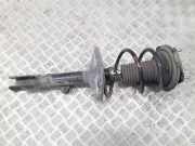 Stoßdämpfer vorne links TOYOTA RAV 4 II (_A2_) 2.0 4WD (ACA21, ACA20) 4852042110