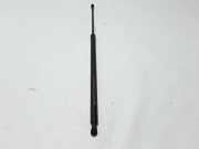 Heckklappe Gasdruckfeder rechts RENAULT SCÉNIC III (JZ0/1_) 1.5 dCi 904517337R