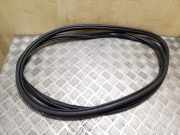 Türgummi rechts vorne Audi Q7 (4L)