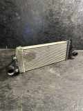 Ladeluftkühler MERCEDES-BENZ M (W164) ML 300 CDI 4-matic (164.121) A1645001900