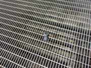 Sensor für Längsbeschleunigung Renault Kadjar (HA, HL) 253A44101R