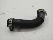 Motorentlüftung PEUGEOT 4007 (GP_) 2.2 HDi