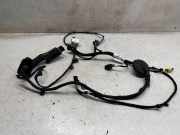 Kabel der vorderen linken Tür AUDI Q3 (F3) 40 TFSI quattro 4L0971841
