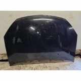 Motorhaube SUZUKI LIANA Estate (ER) 1.6 4WD