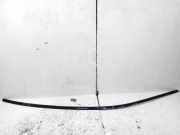 Dachleiste links BMW 7 (G11, G12) 730 d, Ld xDrive 7404327